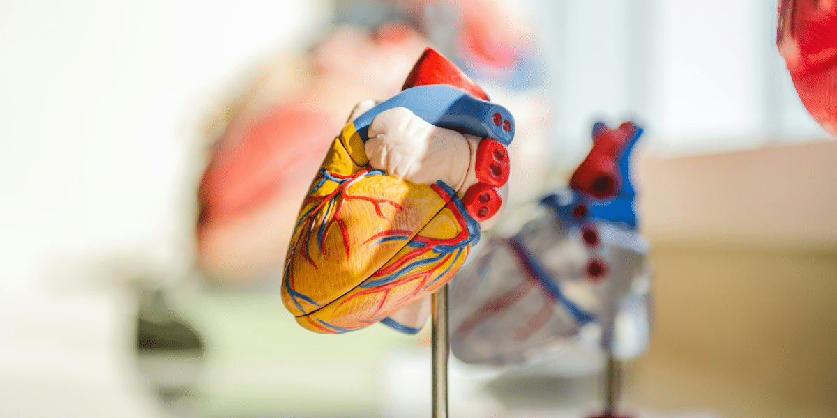 Cardiology’s Journey: Past Discoveries and Future Innovations