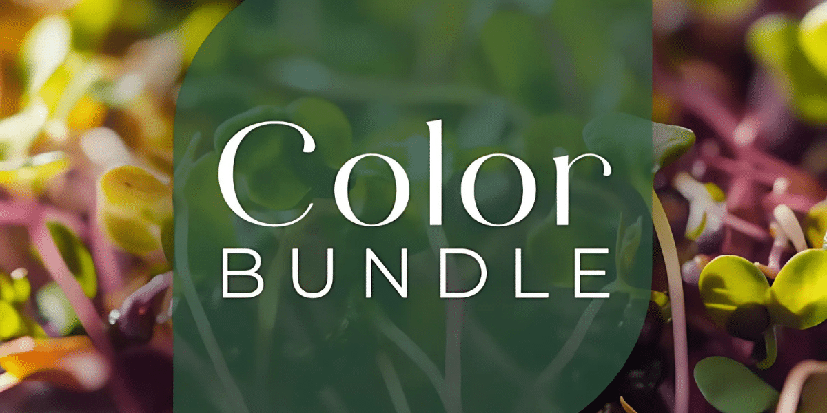 Bringing Color and Nutrition to Your Plate A Deep Dive into Instafarm's New Color Bundle