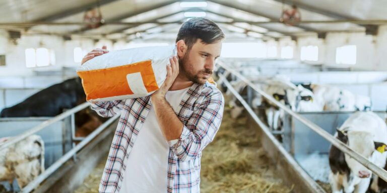 Farmhouse Charm or Modern Edge: Finding Your Design Identity