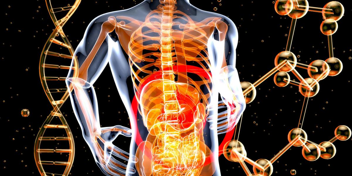 Gut Health and Your Mood: The Link You Need to Know