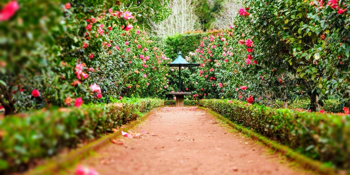 Smart Infrastructure: Why Physical Boundaries Still Matter in a Digital-First Business World