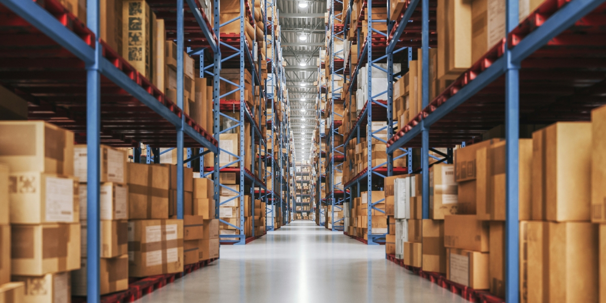 Transportation Management with Decision Intelligence
