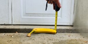 A Minor Driveway Lip in Rochester, Minnesota, and How Automated Property Reports Highlight the Value of Accurate Data